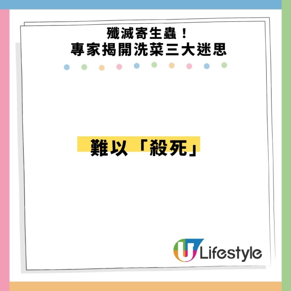 寄生蟲爆發!快餐生菜惹禍近7000人中招 專家:包裝沙律菜感染風險更高