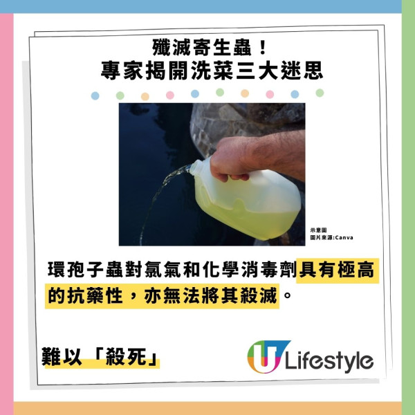 寄生蟲爆發!快餐生菜惹禍近7000人中招 專家:包裝沙律菜感染風險更高