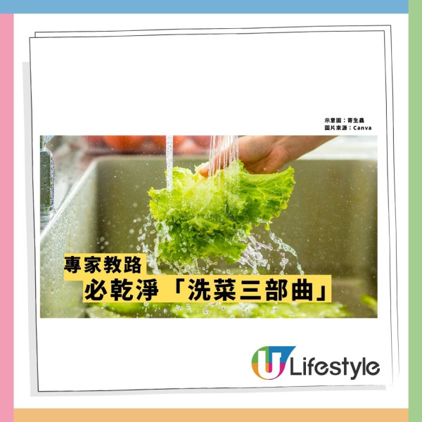 寄生蟲爆發!快餐生菜惹禍近7000人中招 專家:包裝沙律菜感染風險更高