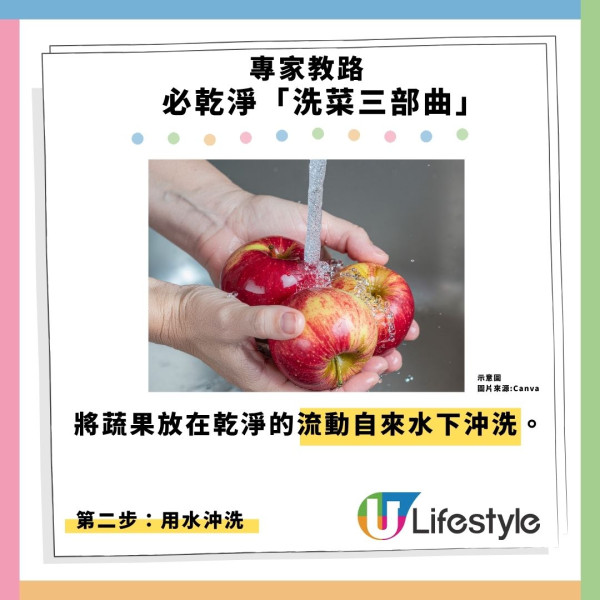 寄生蟲爆發!快餐生菜惹禍近7000人中招 專家:包裝沙律菜感染風險更高