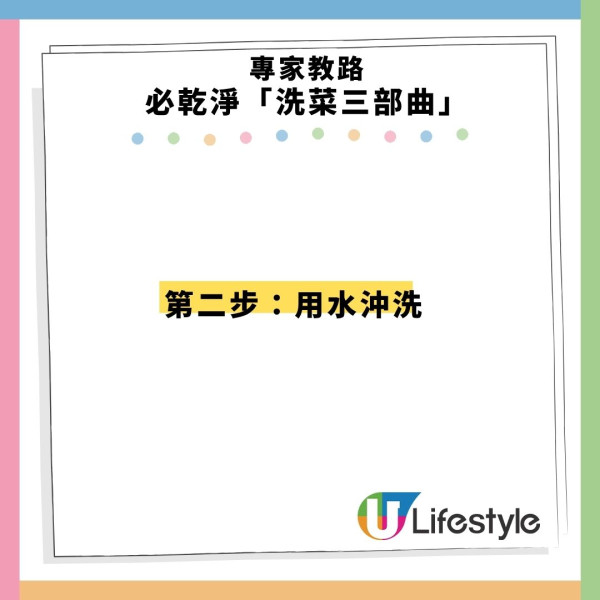 寄生蟲爆發!快餐生菜惹禍近7000人中招 專家:包裝沙律菜感染風險更高