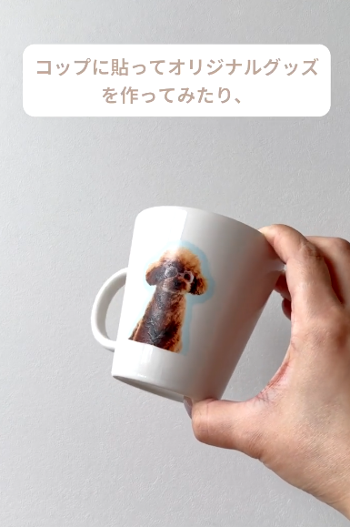 连纹身贴纸都能印？日本3Coins开售神奇“照片打印机”独家特殊相纸5款玩法