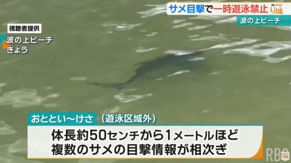 照片來源:YouTube@【琉球放送】RBC NEWS 照片來源:YouTube@【琉球放送】RBC NEWS