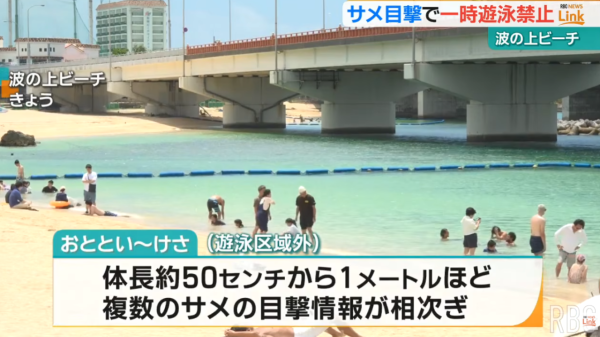 照片來源:YouTube@【琉球放送】RBC NEWS 照片來源:YouTube@【琉球放送】RBC NEWS