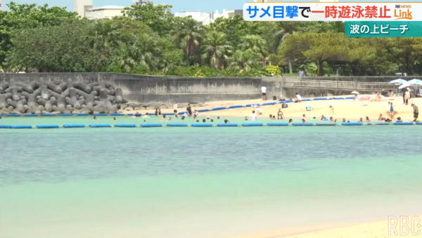 照片來源:YouTube@【琉球放送】RBC NEWS 照片來源:YouTube@【琉球放送】RBC NEWS