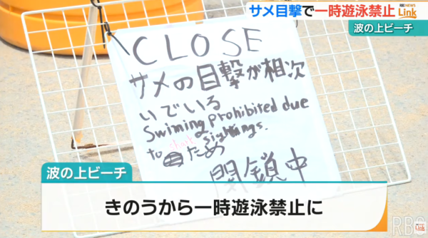 照片來源:YouTube@【琉球放送】RBC NEWS 照片來源:YouTube@【琉球放送】RBC NEWS