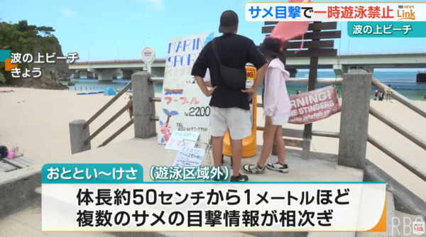 照片來源:YouTube@【琉球放送】RBC NEWS 照片來源:YouTube@【琉球放送】RBC NEWS