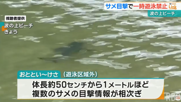 照片來源:YouTube@【琉球放送】RBC NEWS 照片來源:YouTube@【琉球放送】RBC NEWS