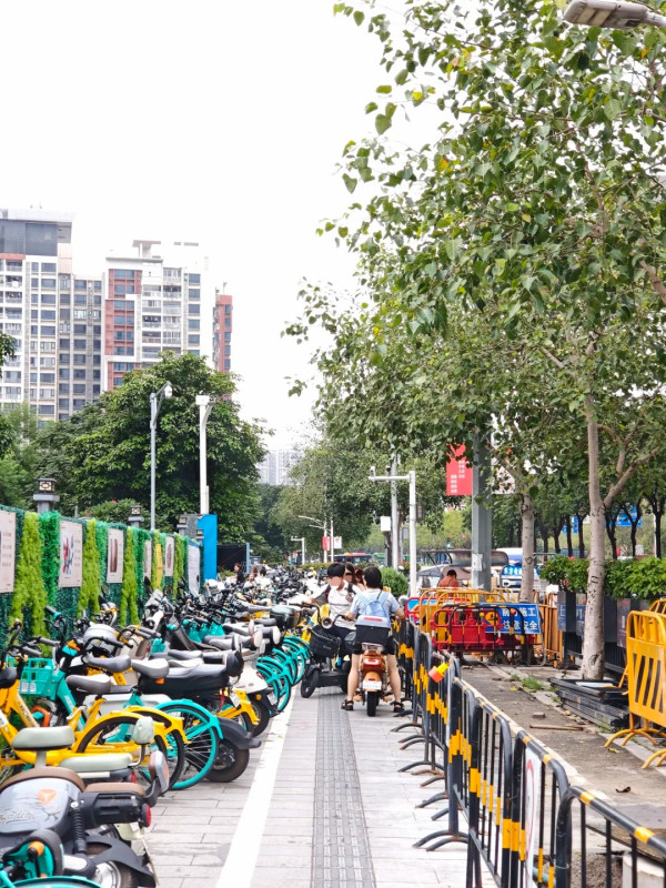 两地反差！内地客赞港铁无安检极安静 网友拆解香港2大秩序关键