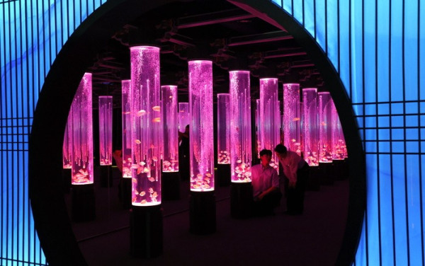 圖片來源:대한경제 韓國首爾樂天世界水族館全新「Aqua Gallery 水光花園」開幕!光影水族展區+5大夢幻打卡位 附限量門票優惠