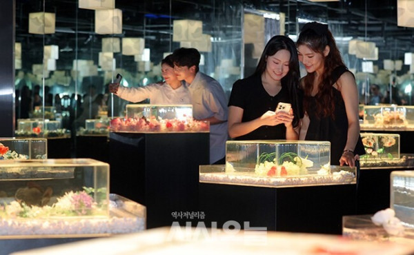 圖片來源:시사오늘 韓國首爾樂天世界水族館全新「Aqua Gallery 水光花園」開幕!光影水族展區+5大夢幻打卡位 附限量門票優惠