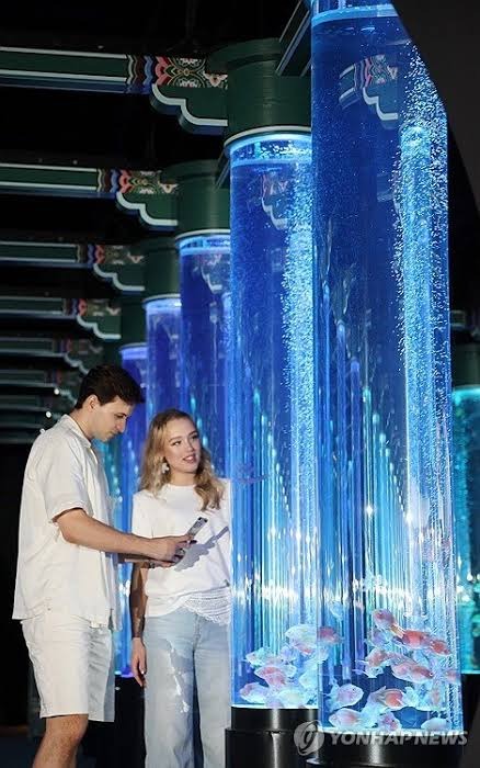 圖片來源:네이트 뉴스 韓國首爾樂天世界水族館全新「Aqua Gallery 水光花園」開幕!光影水族展區+5大夢幻打卡位 附限量門票優惠