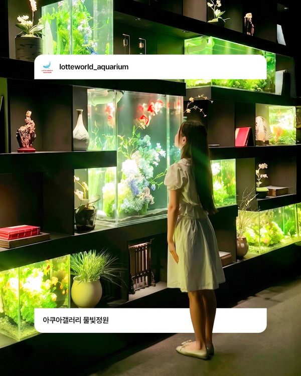 圖片來源:Instagram@lotteworld_aquarium 韓國首爾樂天世界水族館全新「Aqua Gallery 水光花園」開幕!光影水族展區+5大夢幻打卡位 附限量門票優惠