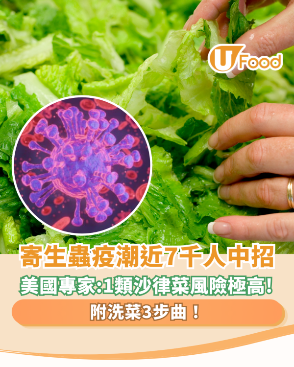 寄生蟲腸道疫潮爆發！近7,000人中招或疑似個案 ／專家：1類沙律菜感染風險極高