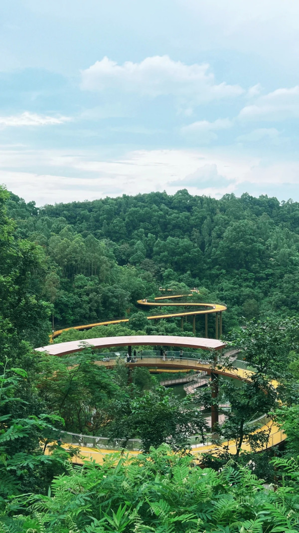 深圳南灣郊野公園正式免費開放!漫步湖畔棧道+高空俯瞰山林湖光