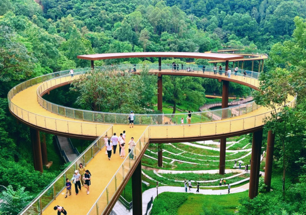 深圳南灣郊野公園正式免費開放!漫步湖畔棧道+高空俯瞰山林湖光