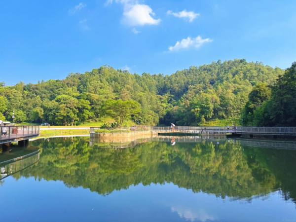 圖片來源:小紅書@潇湘妃子 深圳南灣郊野公園正式免費開放!漫步湖畔棧道+高空俯瞰山林湖光