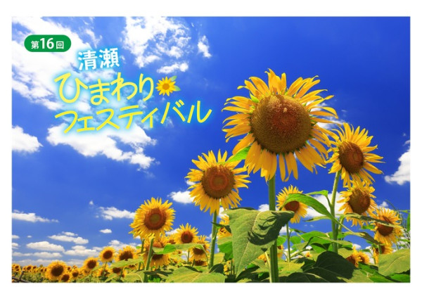 圖片來源:清瀬市官網 關東向日葵景點|東京近郊8大向日葵花海推介!100萬株金黃花海、打卡日本最大級八重向日葵