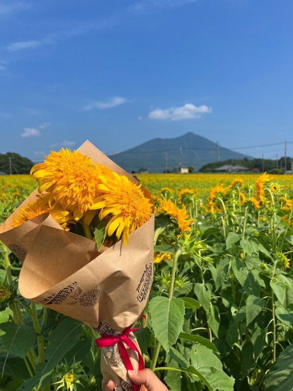 圖片來源:Instagram@akeno.himawari.festival 關東向日葵景點|東京近郊8大向日葵花海推介!100萬株金黃花海、打卡日本最大級八重向日葵