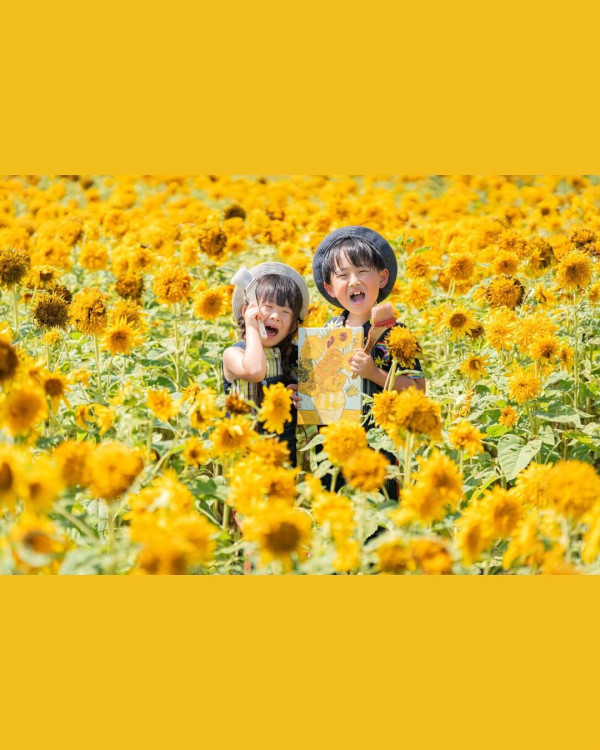 圖片來源:Instagram@akeno.himawari.festival 關東向日葵景點|東京近郊8大向日葵花海推介!100萬株金黃花海、打卡日本最大級八重向日葵