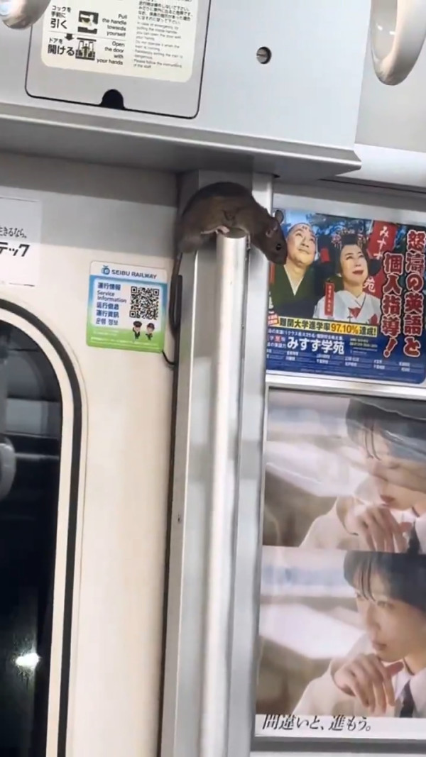圖片來源:X@masanews3 圖片來源:X@masanews3