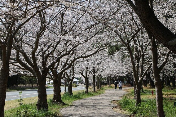 uminaka-park.jp uminaka-park.jp