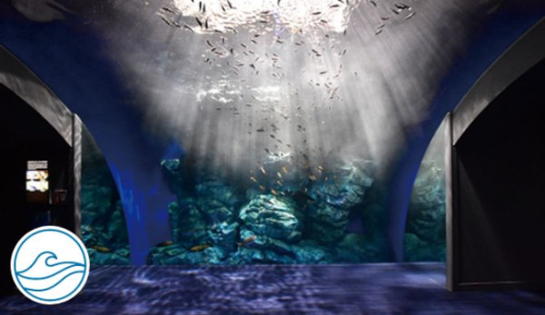 marine-world.jp marine-world.jp