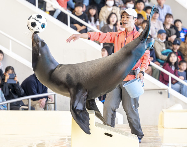 marine-world.jp marine-world.jp