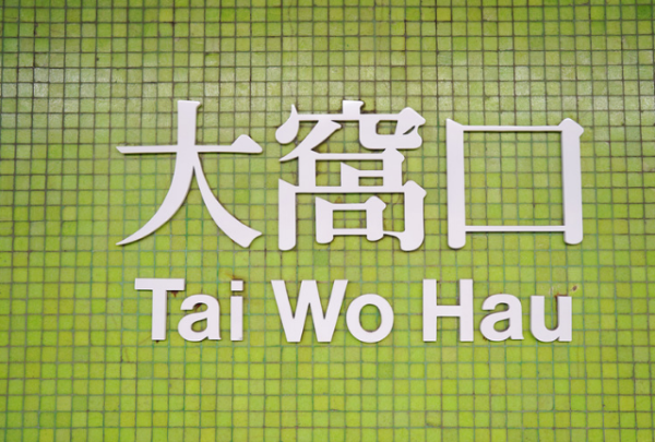 网友盘点港铁最少人车站!大围口站被封最冷门 街坊反驳:这个出口排长龙