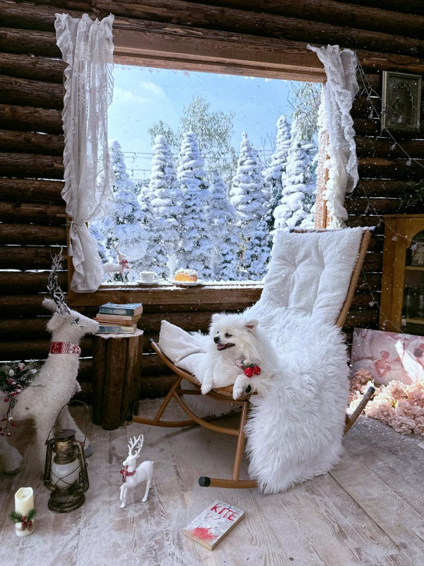 圖片來源:小紅書@nicemini光影艺术馆 深圳龍華打卡必去! 光影藝術館一次集齊四季絕景 必影人工飄雪+夢幻紫藤花