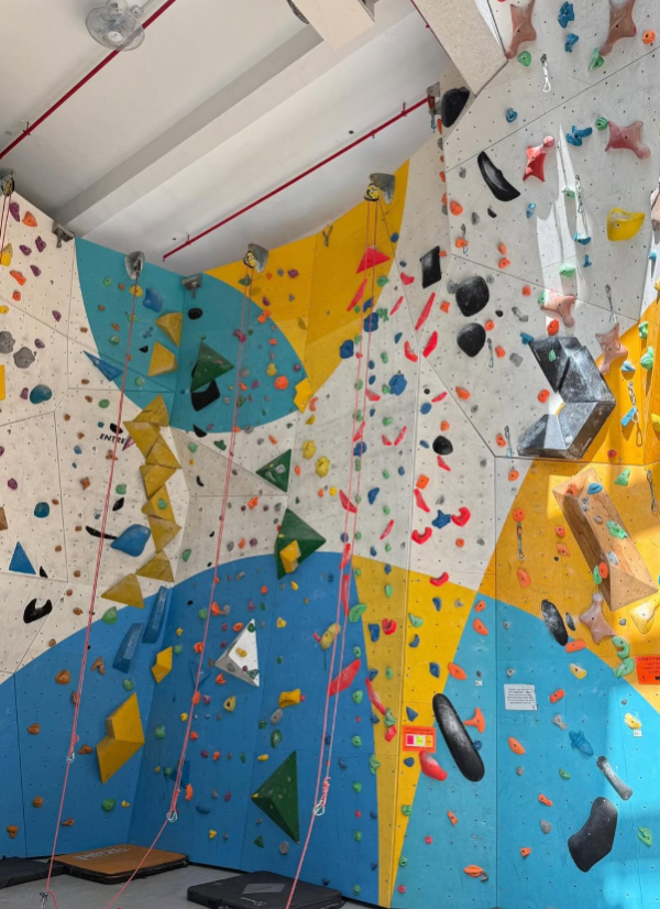 Hong Kong Climbing Park 攀石場（圖片來源︰IG@hkclimbingpark）