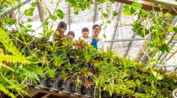 沖繩親子自由行｜沖繩北中南部必去景點12大推介！不自駕玩盡水族館、遊樂場、文化主題園 