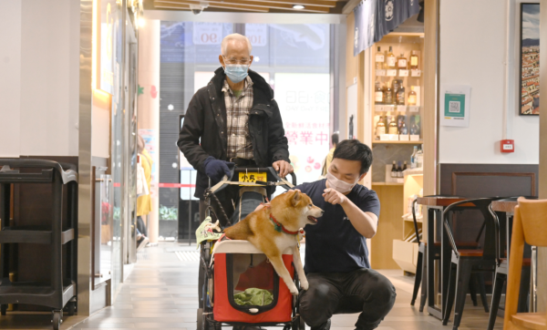 香港寵物友善商場（圖片來源︰HKET）