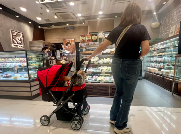 香港寵物友善商場（圖片來源︰HKET）