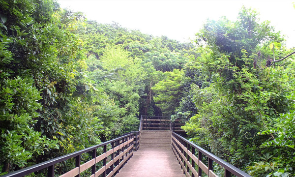 nakagusukupark-osi.jp