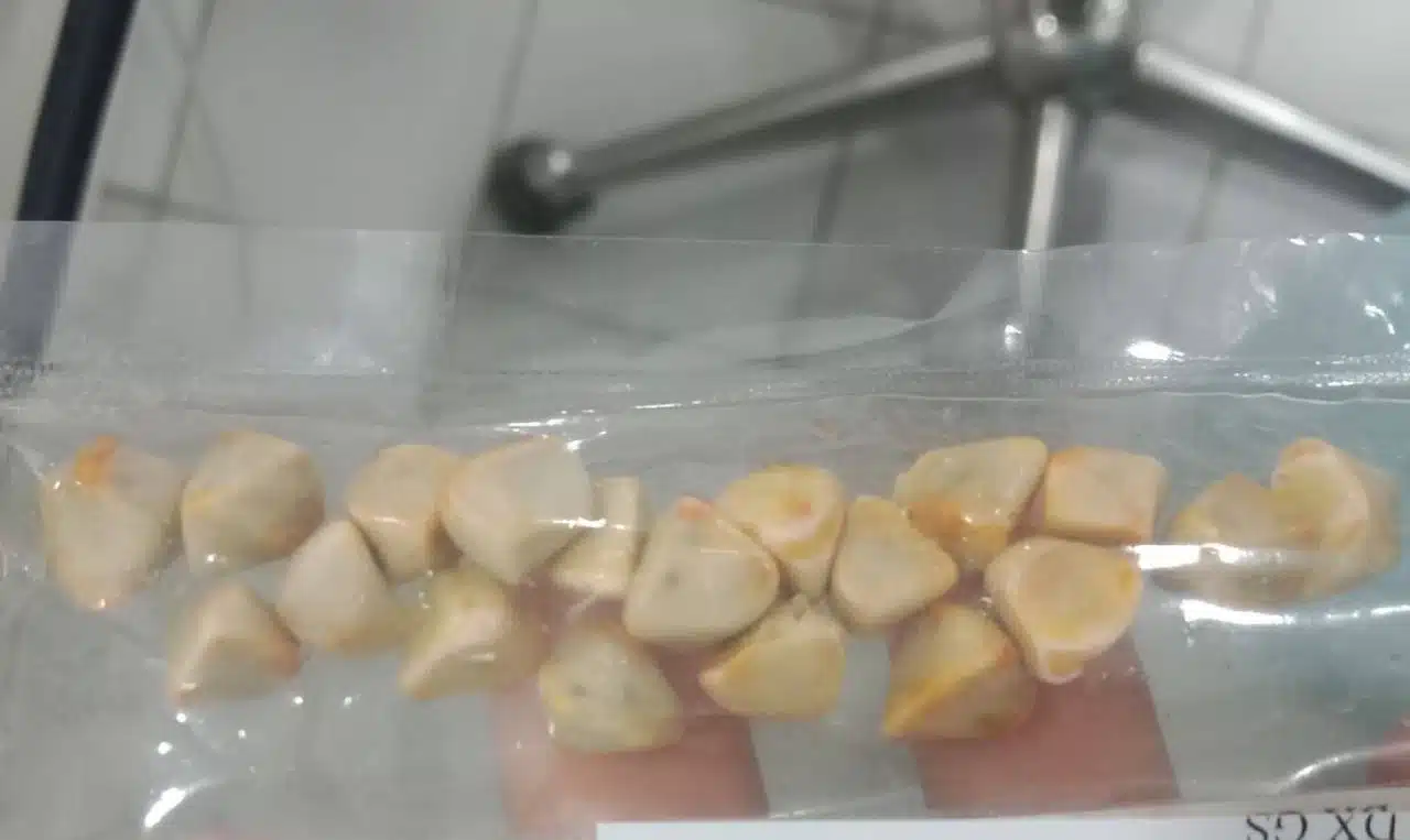 照片來源:Thaiger 照片來源:Thaiger