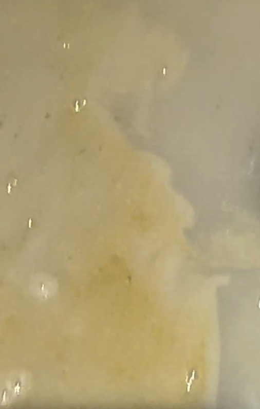 餐廳老闆推介平價洗抽油煙機偏方！網民認證最強去油救星：洗咩都得 成個廚房廁所都靠佢