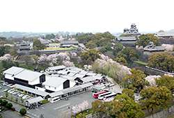 sakuranobaba-johsaien.jp