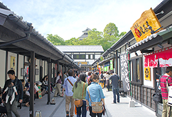 sakuranobaba-johsaien.jp