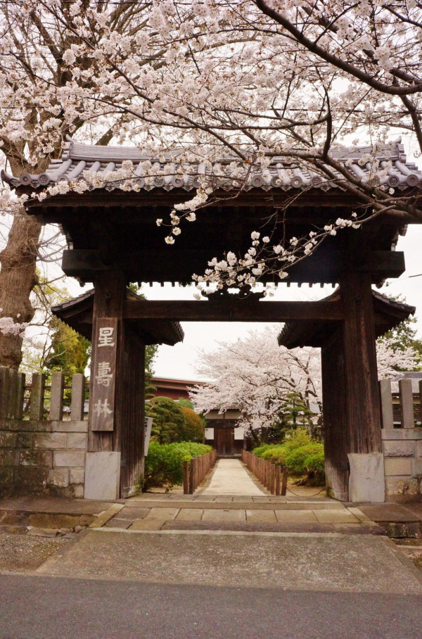 kumamoto-guide.jp