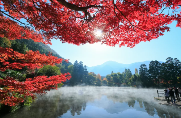 日本觀光局