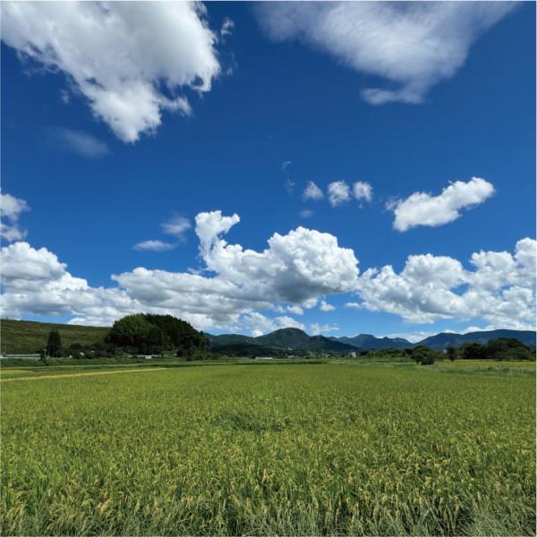 kusumachi