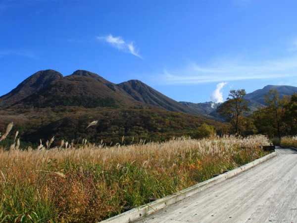 visit-oita.jp