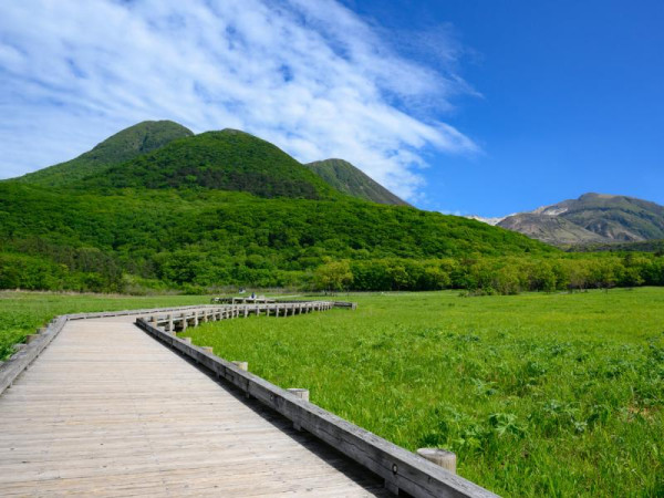 visit-oita.jp