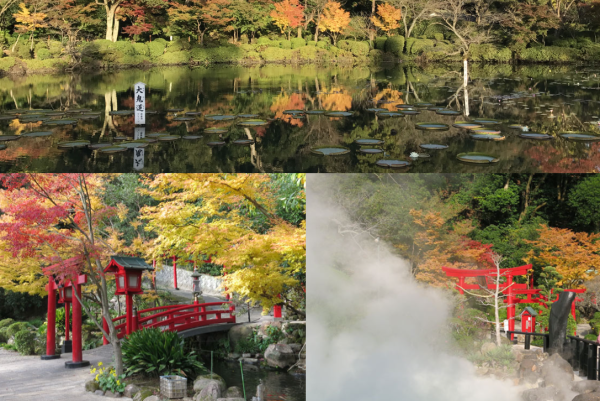 umijigoku.co.jp