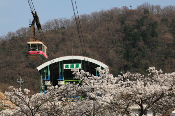 beppu-ropeway.co.jp