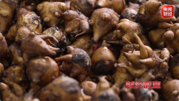 央視揭劇毒附子偽裝養生茶出售！極危中醫藥材僅3毫克即可致心臟麻痹死亡