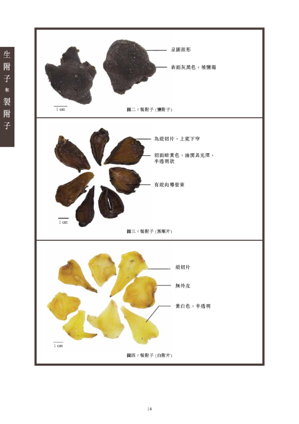 網購注意！央視揭內地劇毒中藥「生附子」改名偽養生茶網售 專家警告：成年人食3毫克可致命 