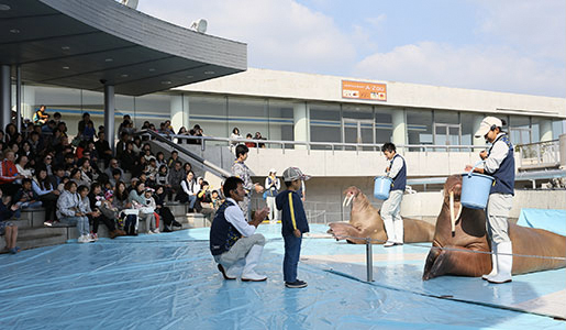 umitamago.jp