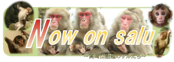 takasakiyama.jp